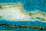 Polished Banded Chrysocolla Slice - Bagdad Mine, Arizona #378921-1